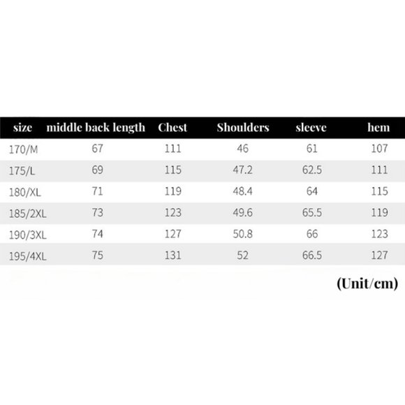 Light Luxury - Men's Fashionable Thickened Down Jacket - Picture 16 of 16